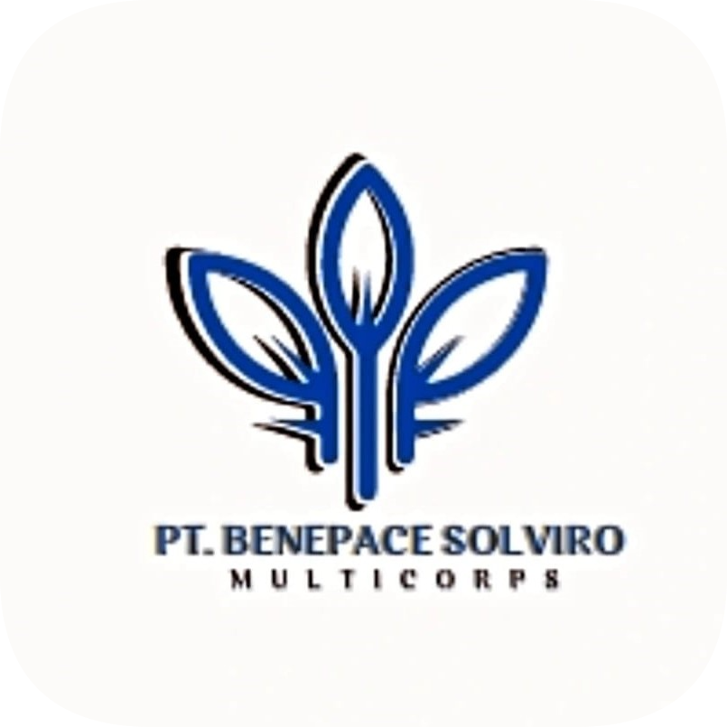 Logo BSM